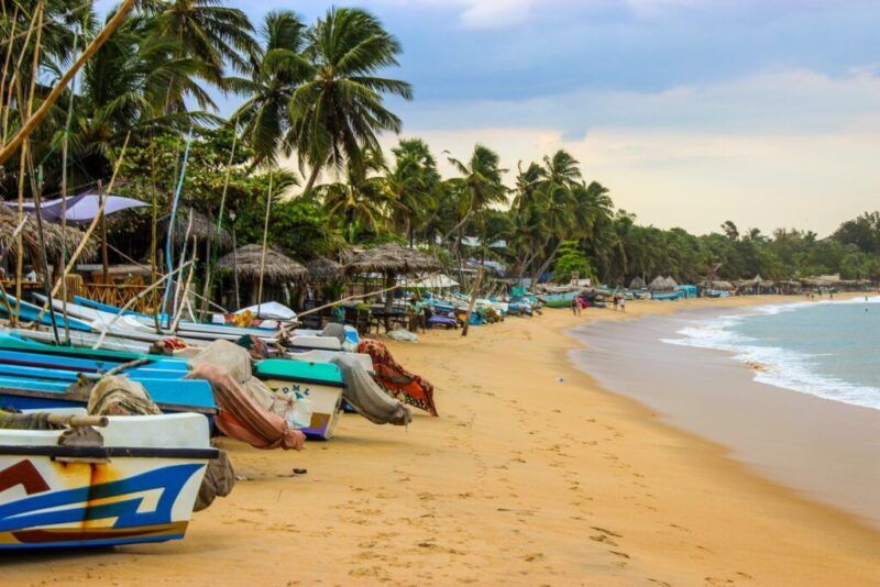 Coloridos barcos de pesca se alinean a lo largo de la playa de arena dorada de la bahía de Arugam en Sri Lanka.
