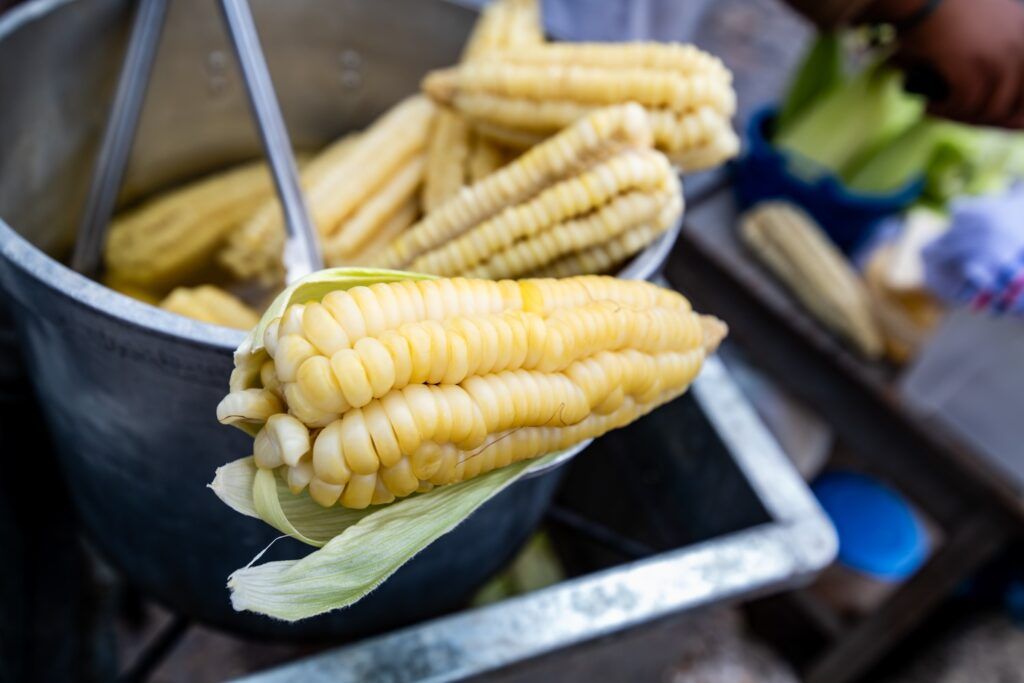 Primer plano de una mazorca de choclo cocida sostenida con pinzas sobre una olla en un mercado de Bolivia.