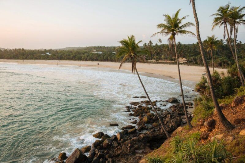 Vista desde un acantilado con palmeras con vistas a la extensa playa de arena de Talalla Beach al atardecer.