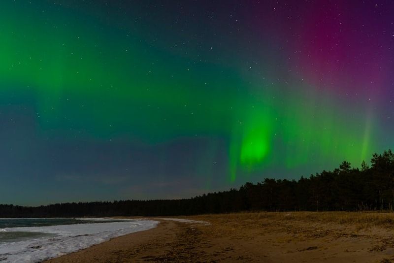 Aurora boreal verde y violeta sobre una playa de arena con un bosque de coniferas de noche