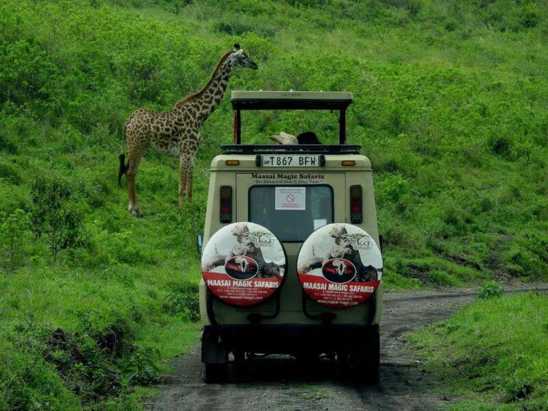 Serengeti National Park.