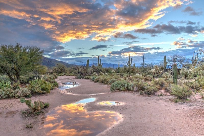 Sendero en Arizona con cactus y nubes al atardecer