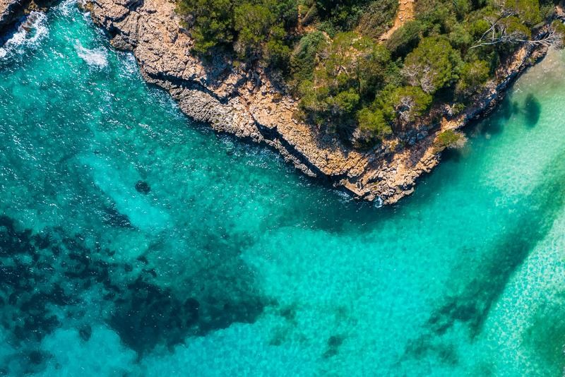 Vista aérea desde dron de la costa de Mallorca con mar turquesa cristalino, acantilados rocosos y pinos mediterráneos