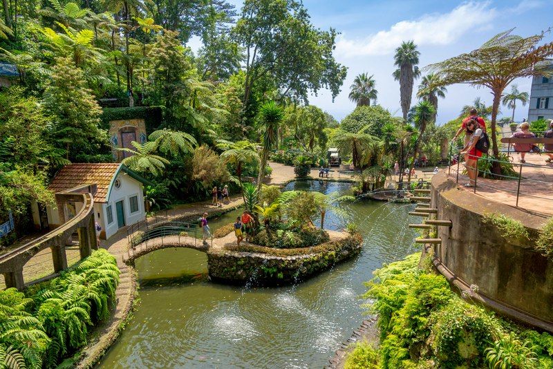 Jardín tropical exuberante con palmeras, helechos y un canal de agua en Monte Palace, Madeira