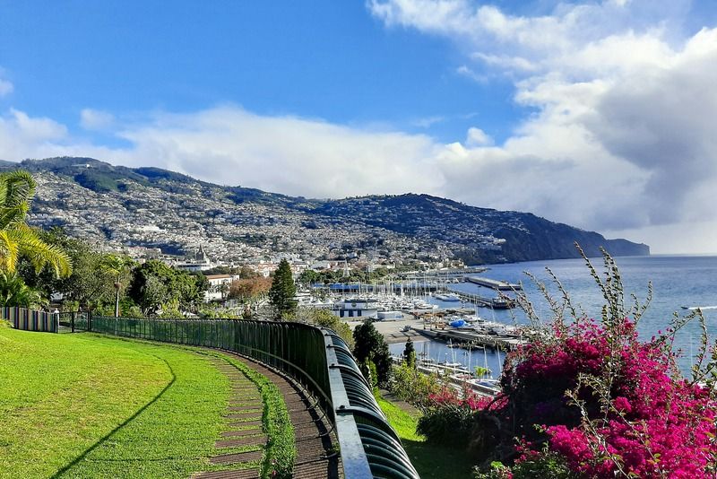 Vista panorámica de la ciudad de Funchal con su puerto deportivo y montañas desde un jardín con buganvillas rosas