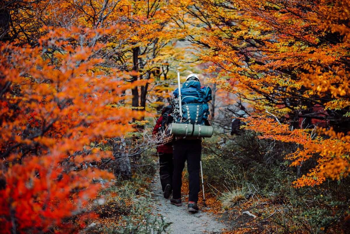 Dos excursionistas con mochilas caminan por un sendero entre árboles con hojas otoñales anaranjadas