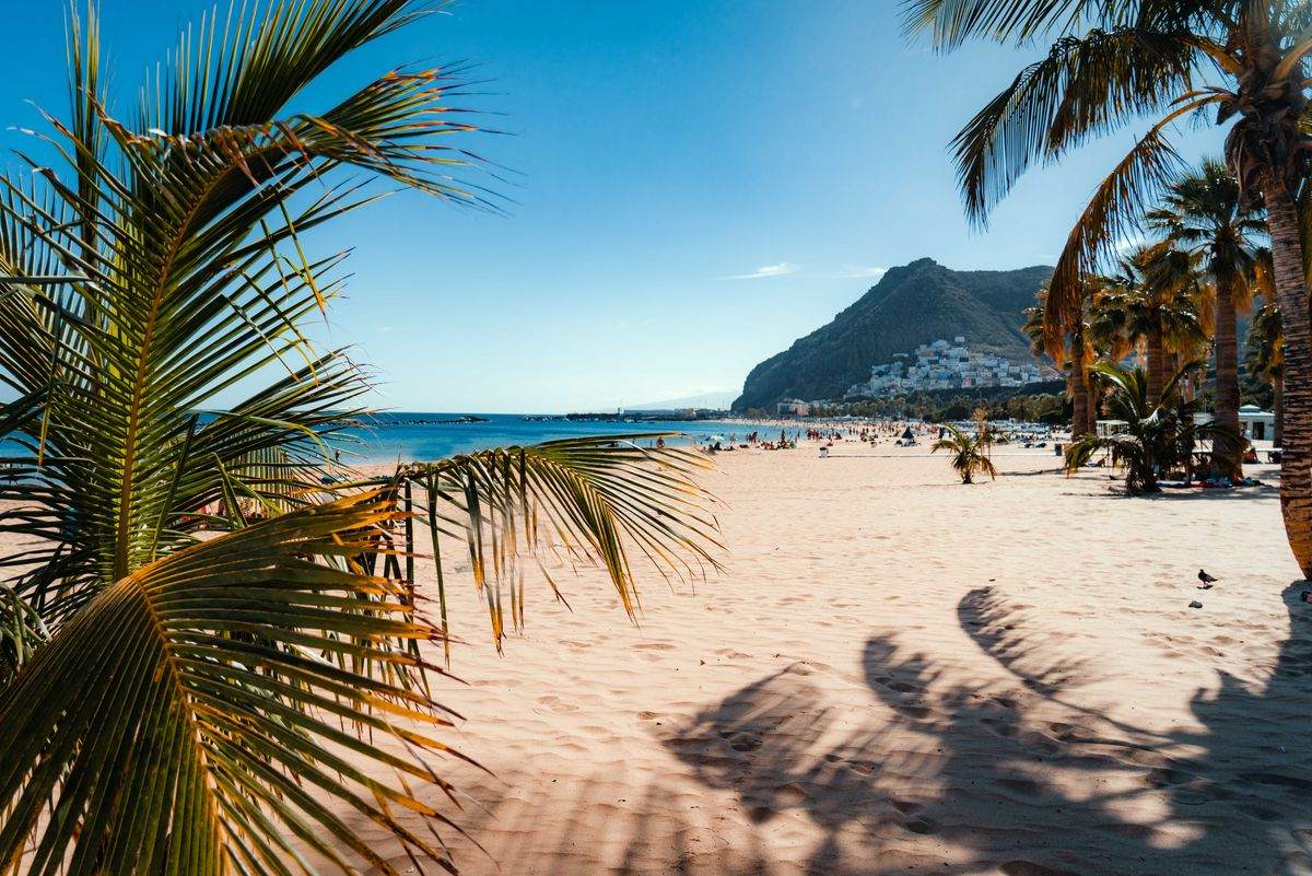 Playa soleada con palmeras en primer plano, arena clara y montaña al fondo