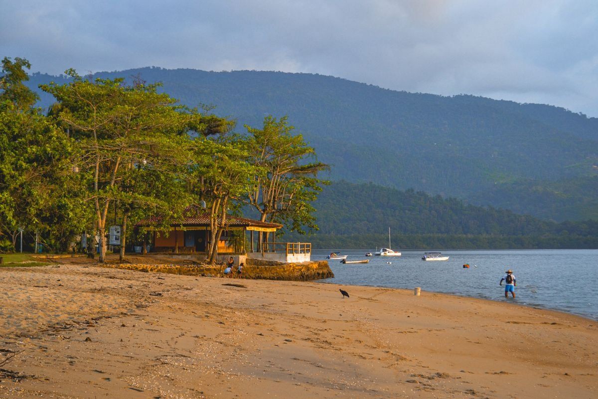 Playa tranquila al amanecer con barcas fondeadas, árboles junto a la arena y montañas al fondo