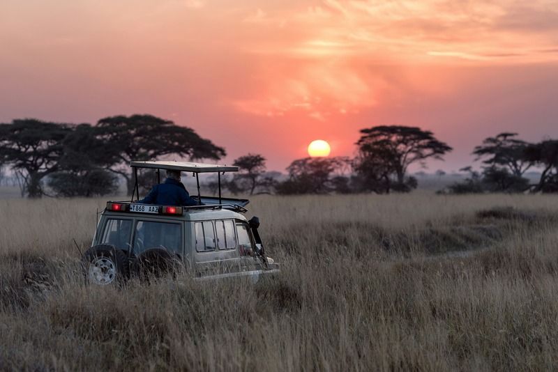Un jeep safari con un guía asomado por el techo observa la puesta de sol sobre la sabana de Tanzania