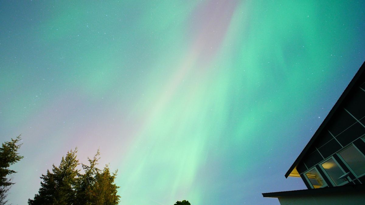 Aurora boreal verde sobre árboles y la esquina de un edificio moderno