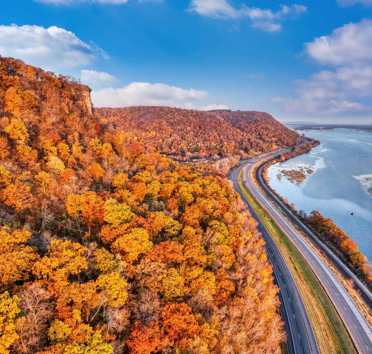 Bosque otoñal junto a una carretera y un río, visto desde el aire