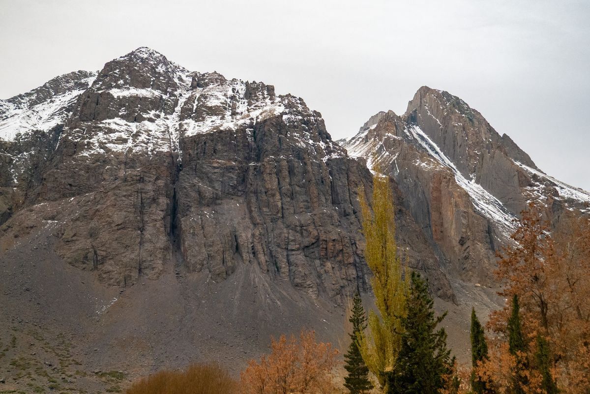 Montañas de los Andes con cumbres nevadas y árboles otoñales en primer plano