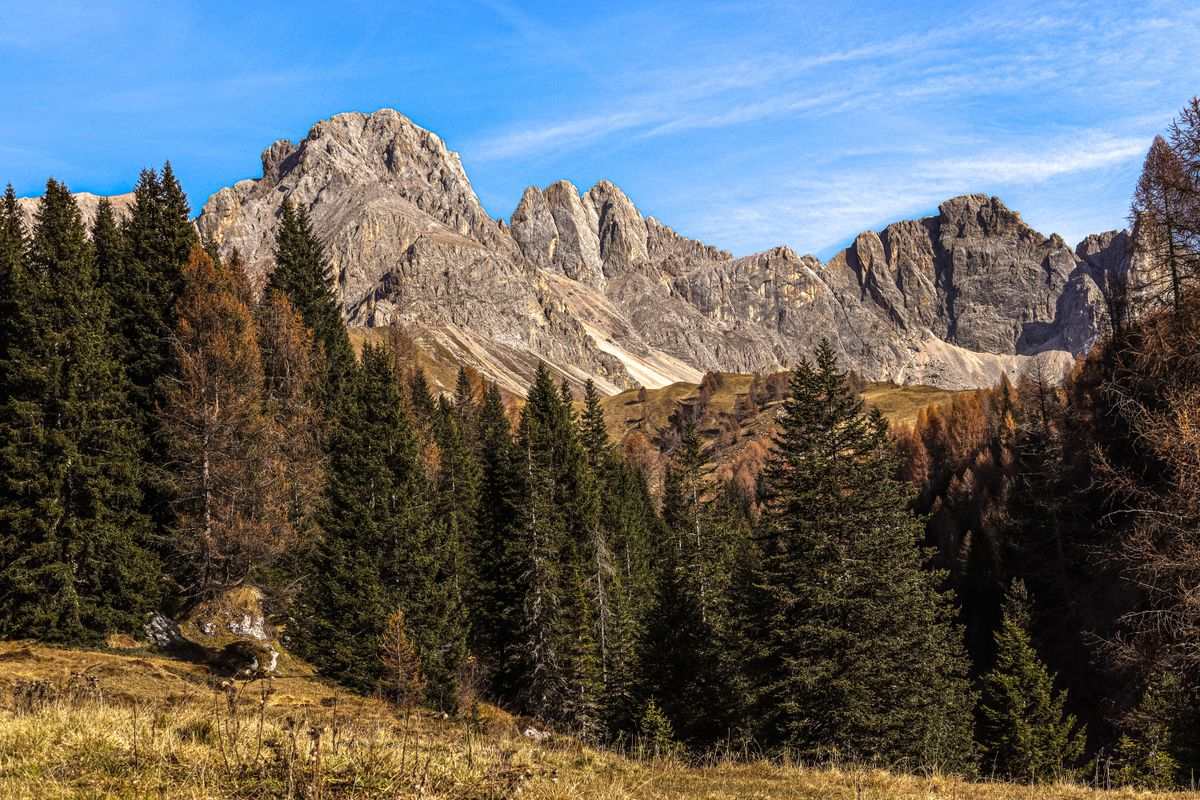 Montañas rocosas y bosque otoñal de coníferas bajo un cielo azul claro