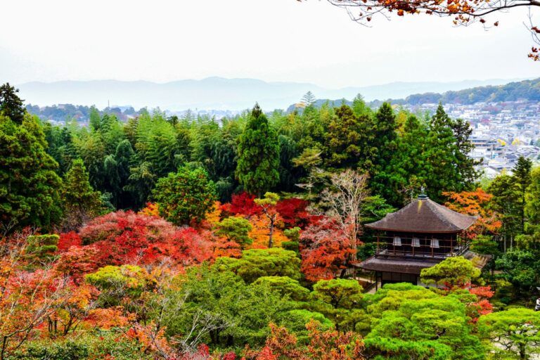 Dónde viajar en noviembre: jardín de Kioto con los colores del otoño, Japón