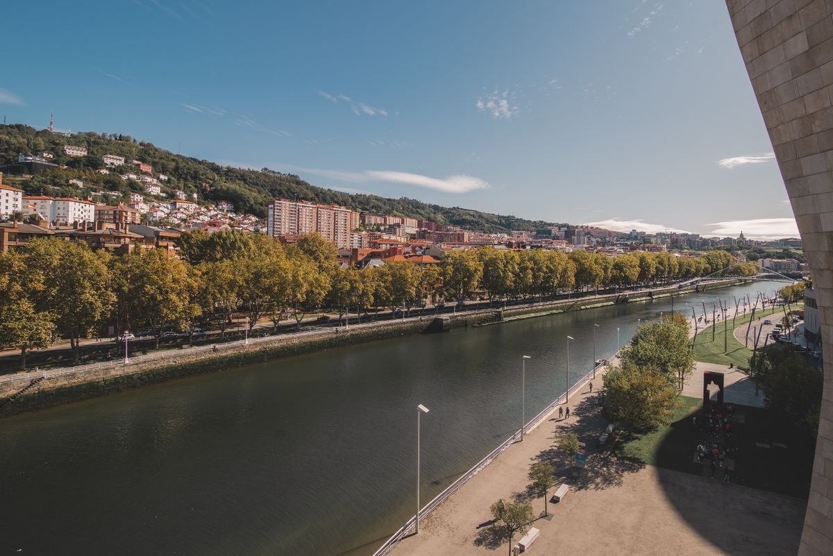 Ría de Bilbao con paseo arbolado y edificios en la ladera al fondo